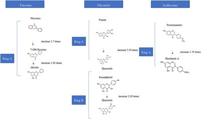Chemistry of Protein-Phenolic Interactions Toward the Microbiota and Microbial Infections